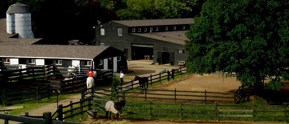 Willow Creek Farm Horse Boarding CT