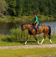 Willow Creek Farm