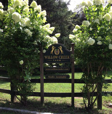 Willow Creek Farm