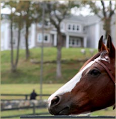 Willow Creek Farm