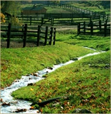 Willow Creek Farm
