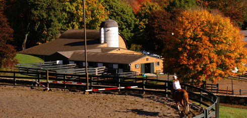Willow Creek Farm