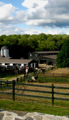 Willow Creek Farm