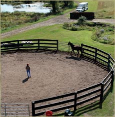 Willow Creek Farm