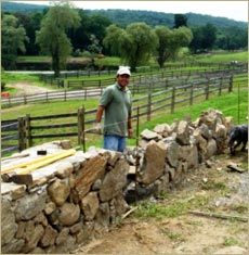 Willow Creek Farm