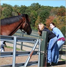 Willow Creek Farm