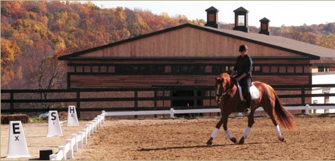 Willow Creek Farm