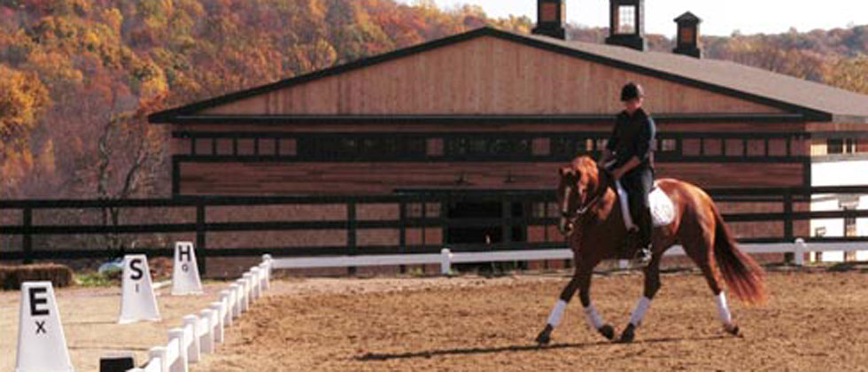 Willow Creek Farm Horse Boarding CT