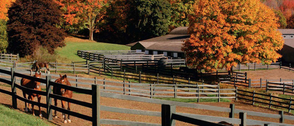 Willow Creek Farm Horse Boarding CT