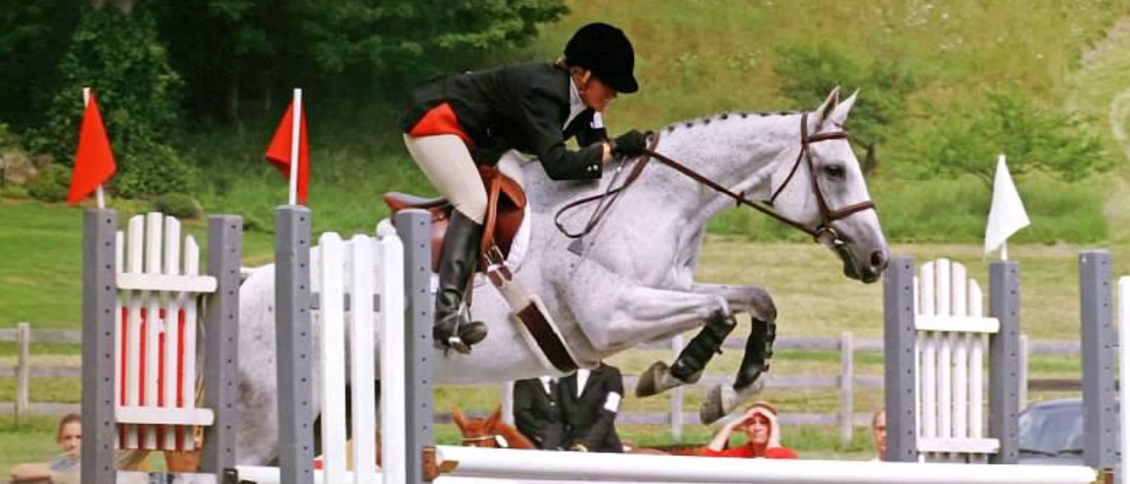 Willow Creek Farm Horse Boarding CT