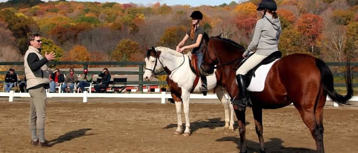 Willow Creek Farm Horse Boarding CT