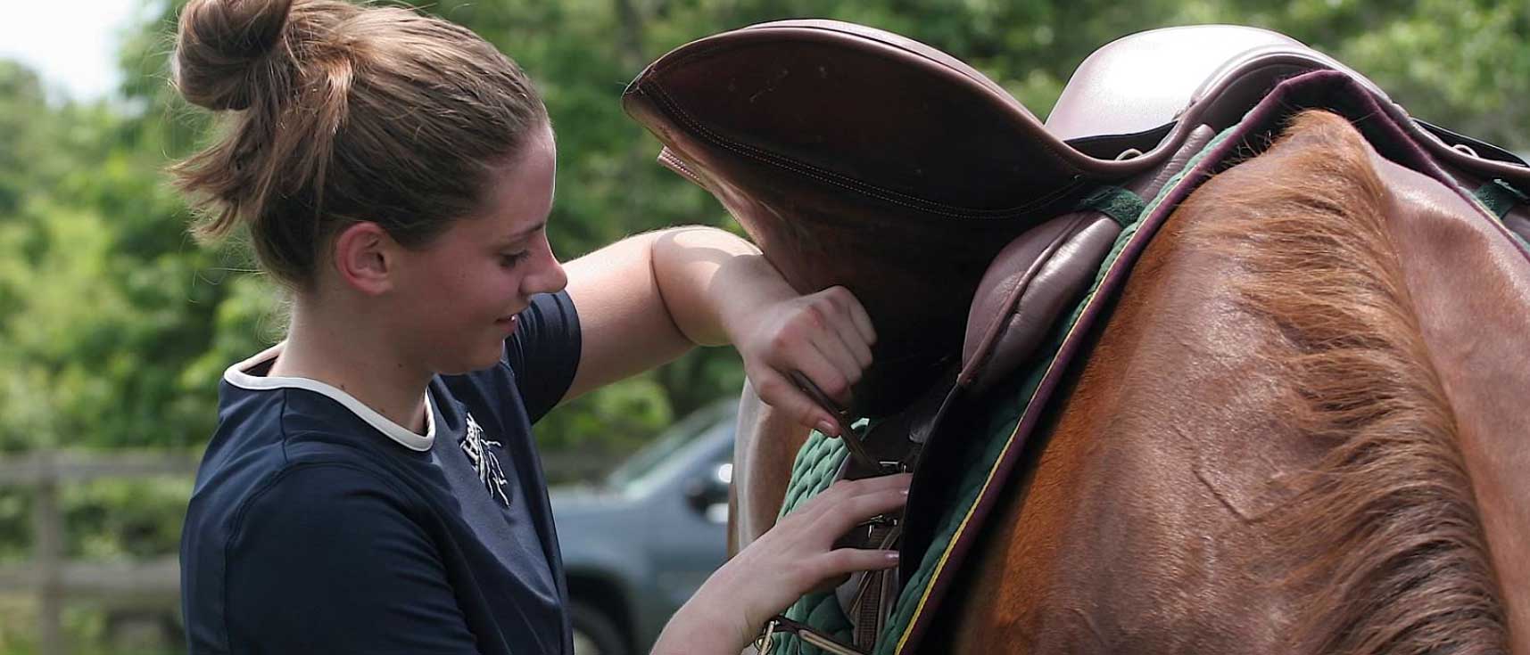 Willow Creek Farm Horse Boarding CT