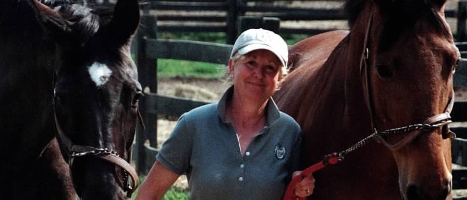 Willow Creek Farm Horse Boarding CT