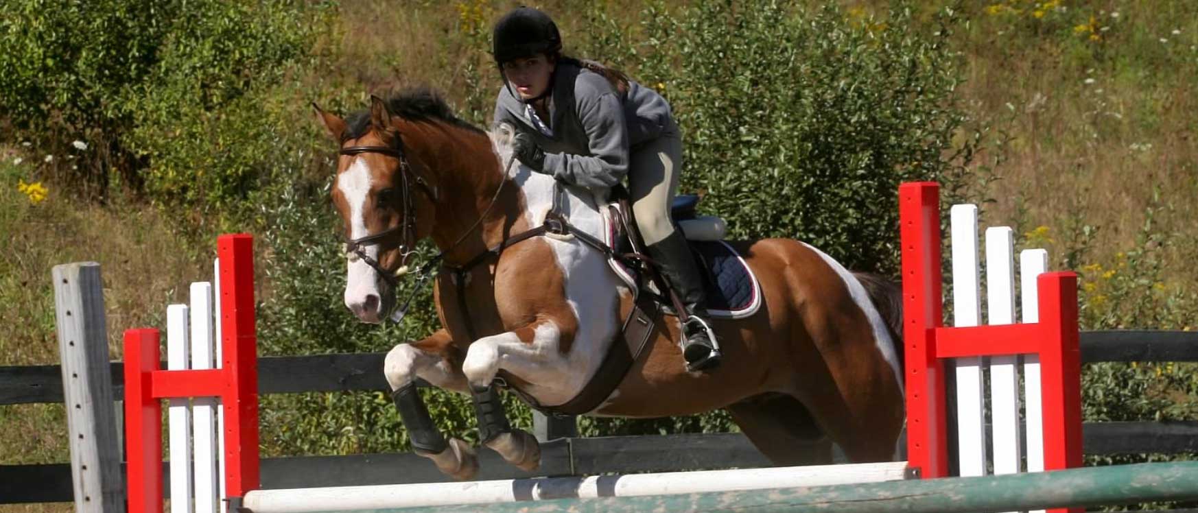 Willow Creek Farm Horse Boarding CT