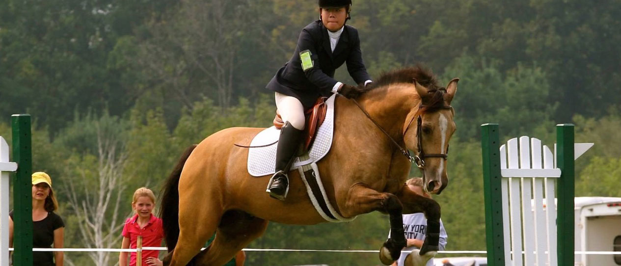 Willow Creek Farm Horse Boarding CT