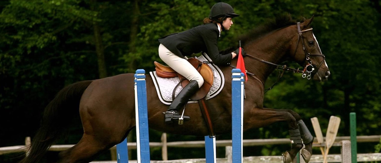 Willow Creek Farm Horse Boarding CT