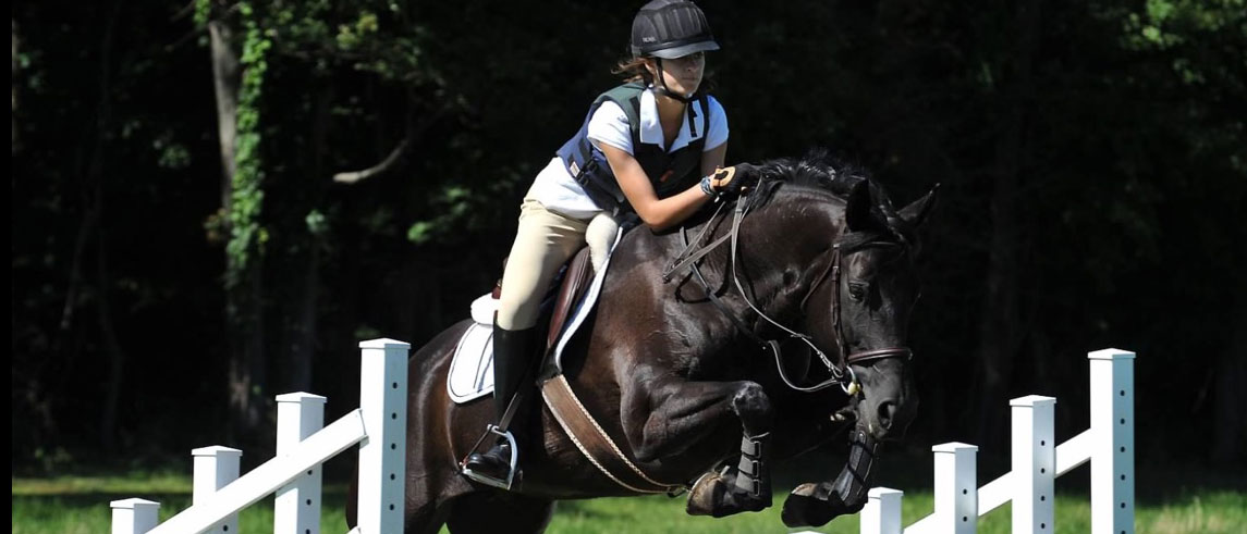 Willow Creek Farm Horse Boarding CT