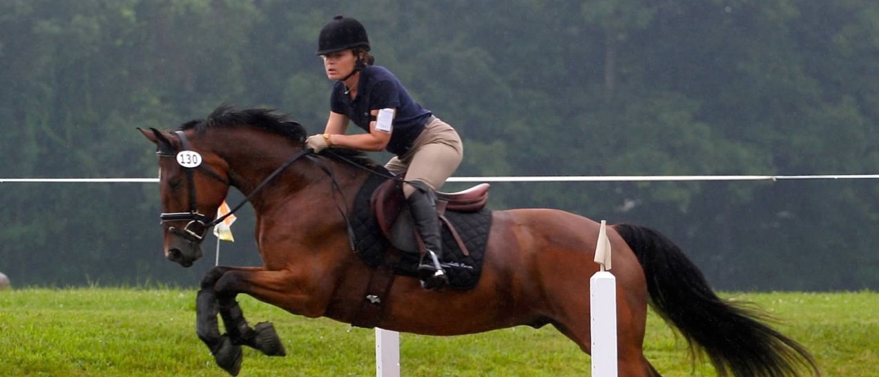 Willow Creek Farm Horse Boarding CT